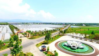 衢州邁入旅游發展新時代 以全域思維擘畫未來藍圖